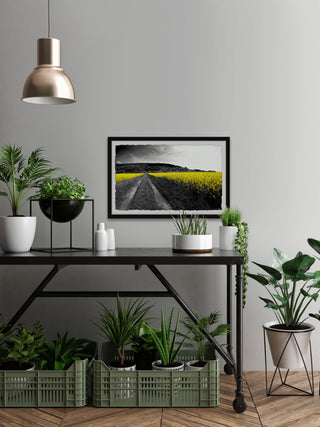 "Wild Yellow Fields" Framed Painting Print, 12x8