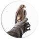 Kestrel Sitting On Falconer Hand, Animal Round Wall Art, 23"