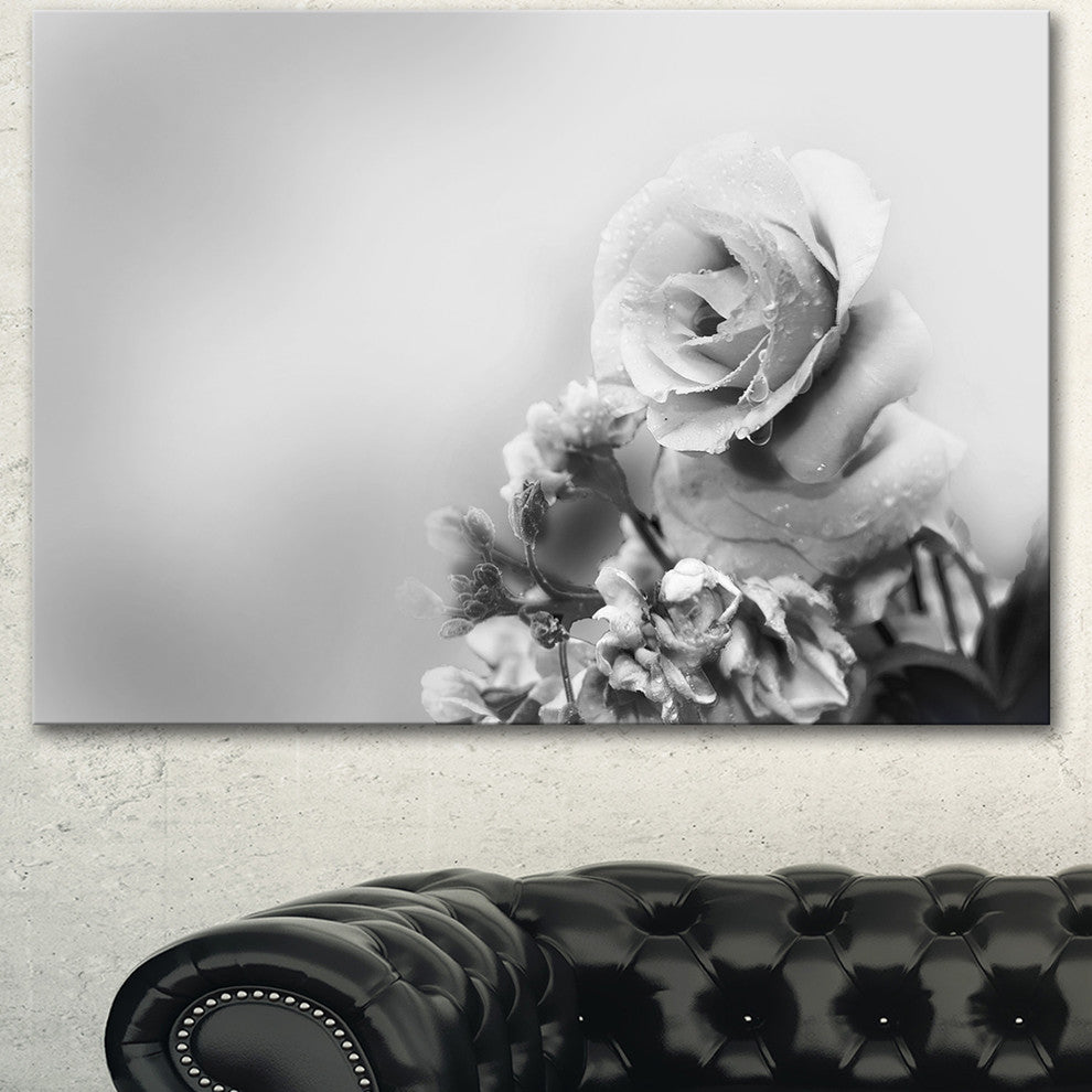 Black and White Rose in Spring., Floral Canvas Art Print, 60"x28"