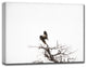 Ready2HangArt ''Bald Eagle'' by Bartlettayes, 30"x40"