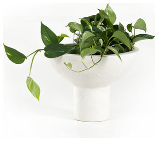 Pressler Outdoor Planter, Set 2-Plaster