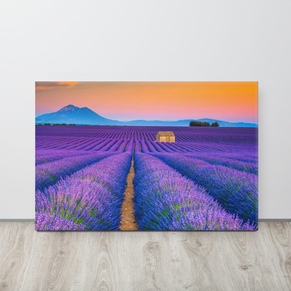 Blooming Lavender Field and Sunset Landscape Photo Canvas Prints, 24" X 36"