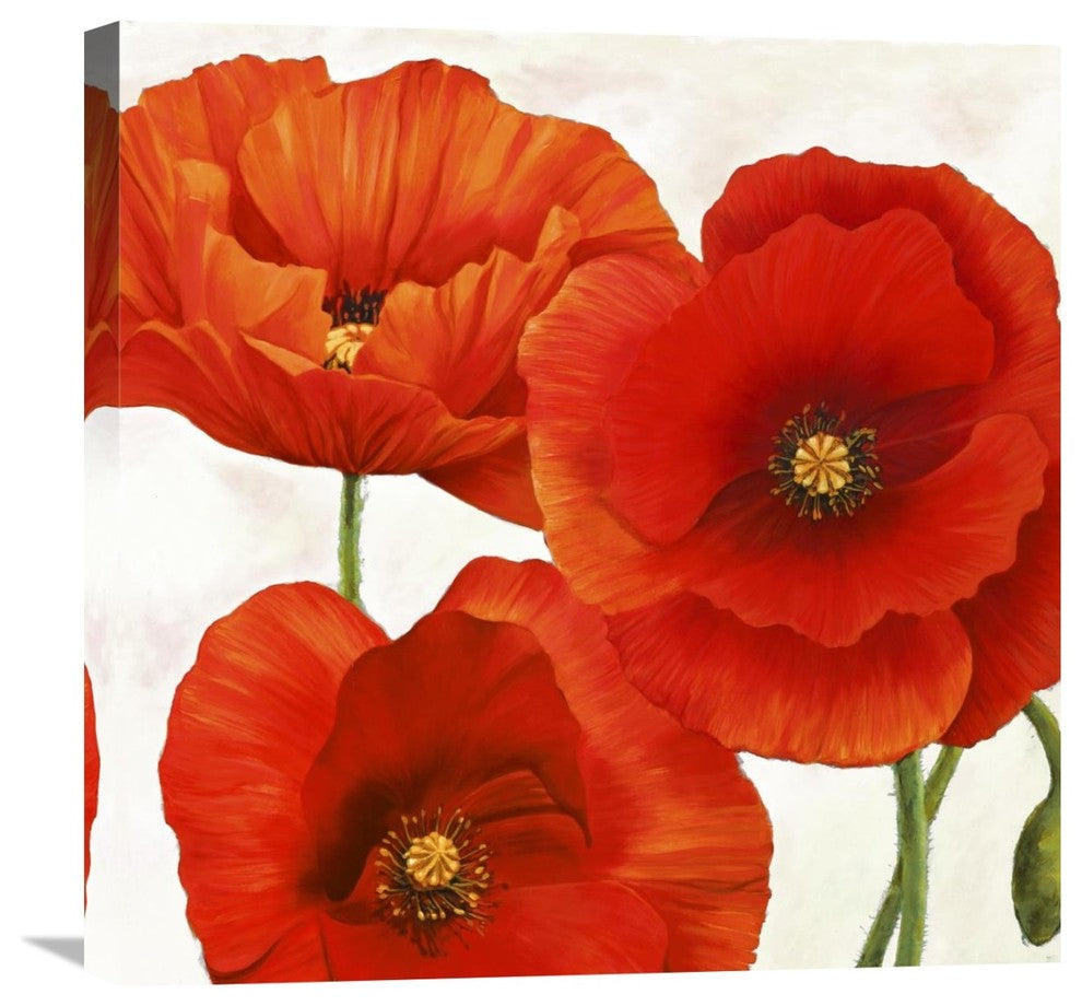 Poppies I, 24"x24"