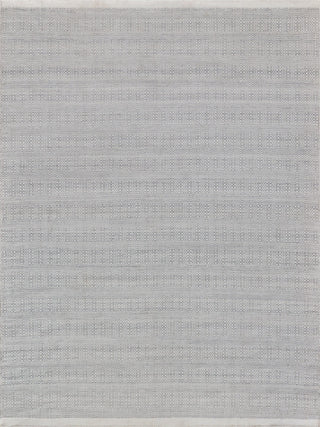 Echo Indoor/Outoor Flatwoven PET yarn Light Silver/Ivory Area Rug