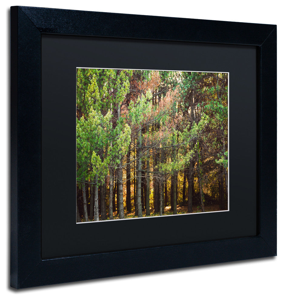 Jason Shaffer 'Summer Tree Line', Black Frame, Black Mat, 14x11