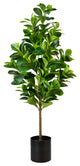 Serene Spaces Living Faux Pepper Elder Plant in Black Plastic Pot, 43" Tall