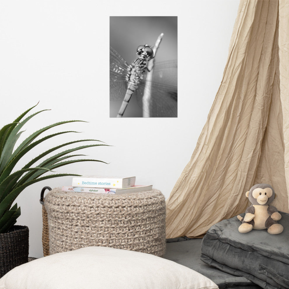 Dragonfly at Bombay Hook Black and White Unframed Wall Art Print, 12" X 18"