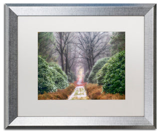 Cora Niele 'Rhododendron Lane' Matted Framed Art