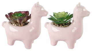 Set Of 2 Pink Ceramic Llama Succ  5.5"