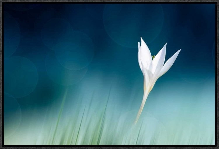 "Lonely" Framed Canvas Giclee by Doris Reindl, 23x16"