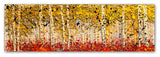 'Fall Pano Aspens' Canvas Art by Roderick Stevens