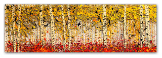 'Fall Pano Aspens' Canvas Art by Roderick Stevens