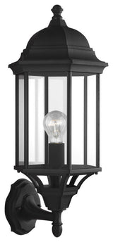Sevier 1-Light Outdoor Wall Lantern, Black