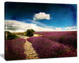 Lavender Field with Dramatic Blue Sky, Large Landscape Canvas Art, 20"x12"
