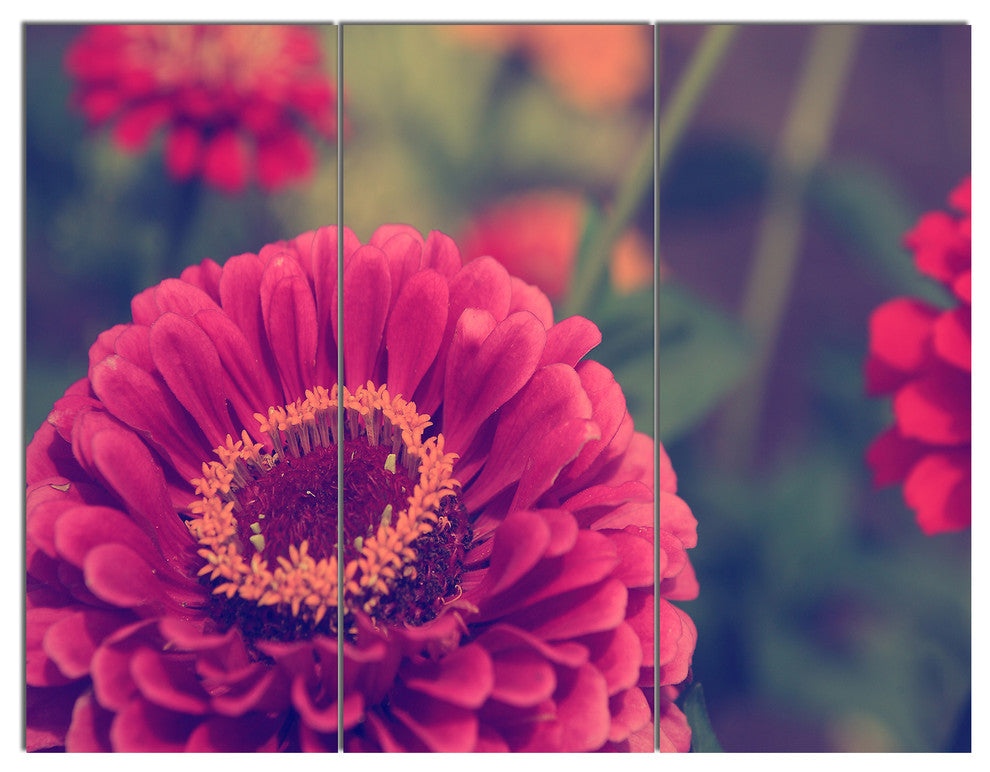 Vintage Photo of Cute Red Flowers, Floral Canvas Art Print, 36x28, 3 Panels