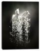 Fantasy White Horses on Black, Animal Canvas Art Print, 30"x40"