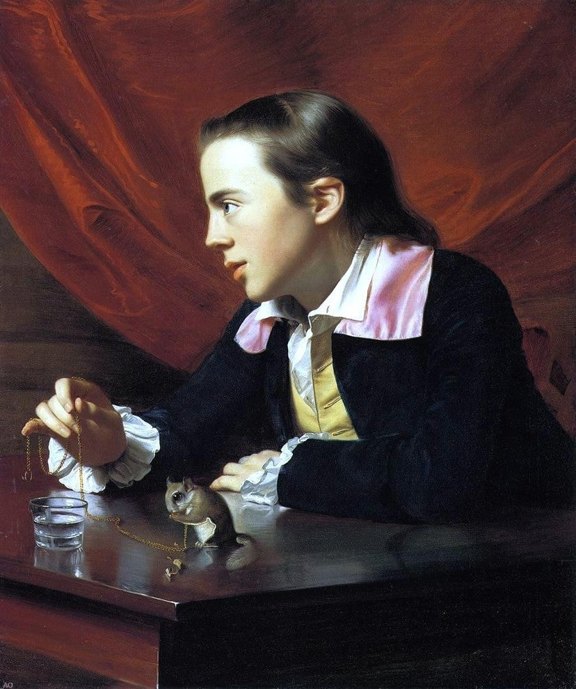 John Singleton Copley Boy With a Squirrel, 20"x25" Wall Decal