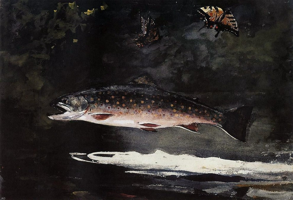 Winslow Homer Trout Breaking - 18" x 27" Premium Canvas Print