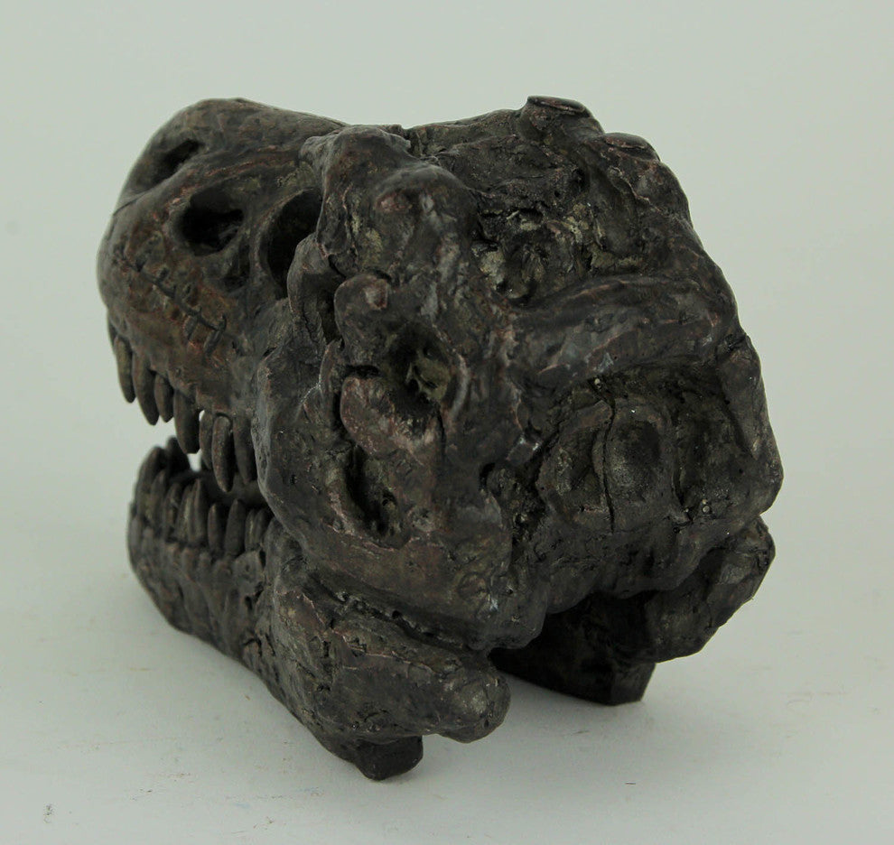 Tyrannosaurus Rex Dinosaur Head Fossil Statue Small