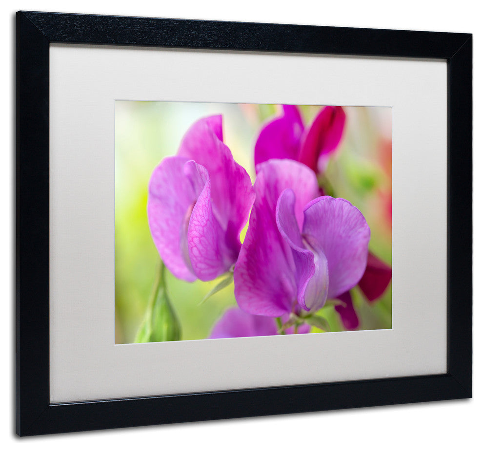 Cora Niele ''Two Sweet Pea Flowers'' Matted Framed Art