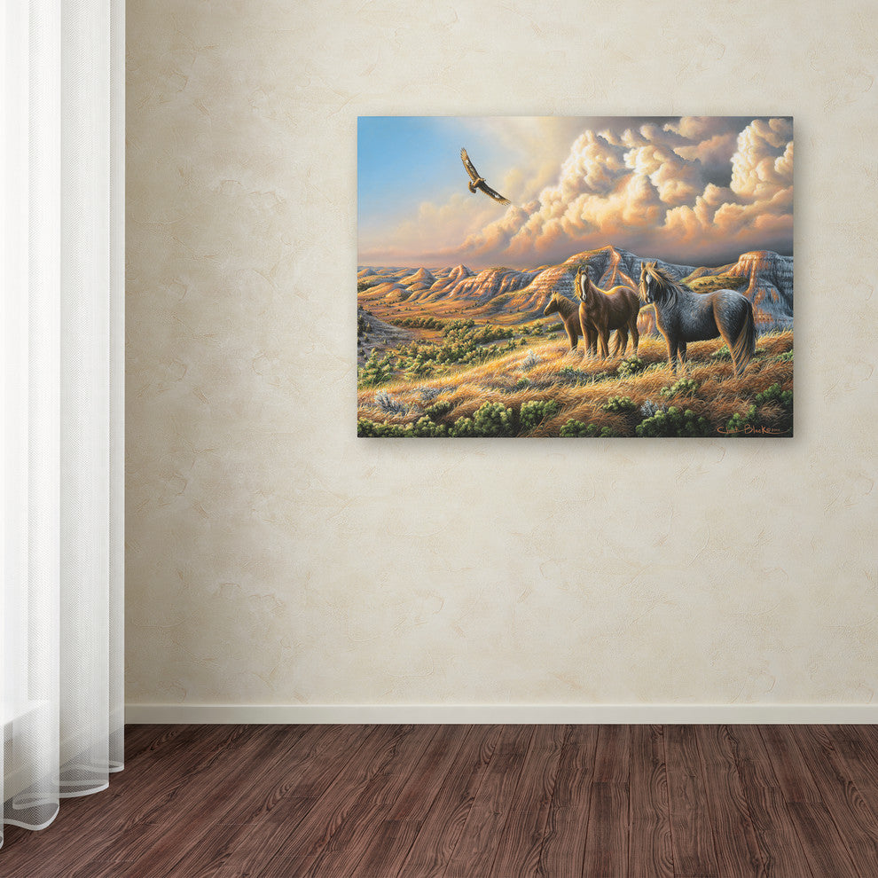 Chuck Black 'Under Wild Skies' Canvas Art, 24x18