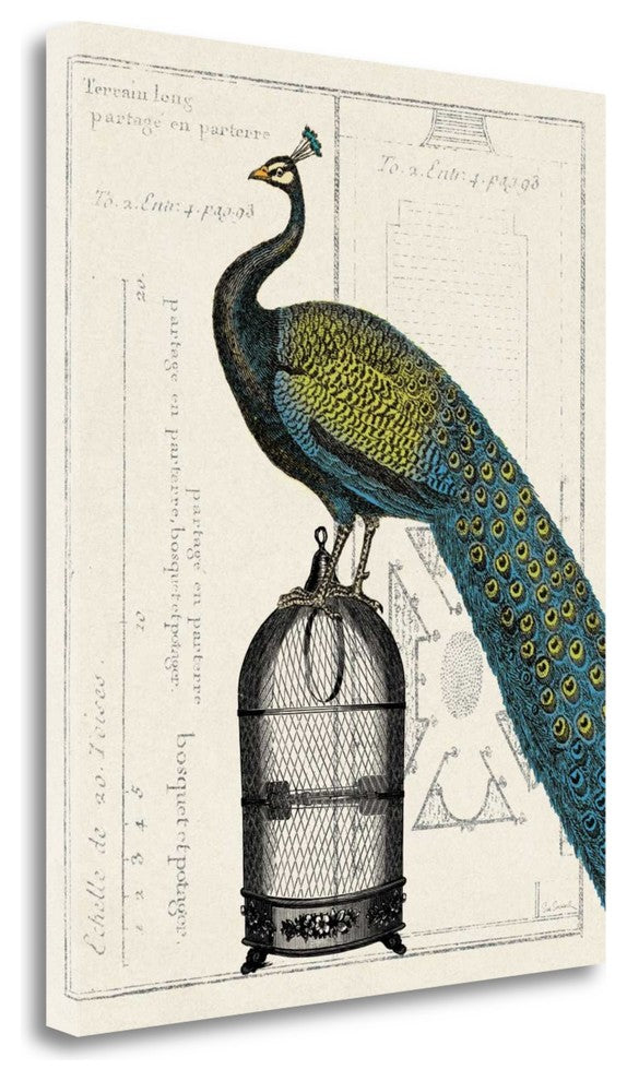 "Peacock Birdcage II" By Sue Schlabach, Giclee Print on Gallery Wrap Canvas