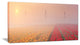 Sun over Blooming Lake Panorama, Landscape Canvas Art Print, 60"x28"