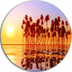 Beautiful Row Of Coconut Palms On Beach, Seascape Disc Artwork, 38"