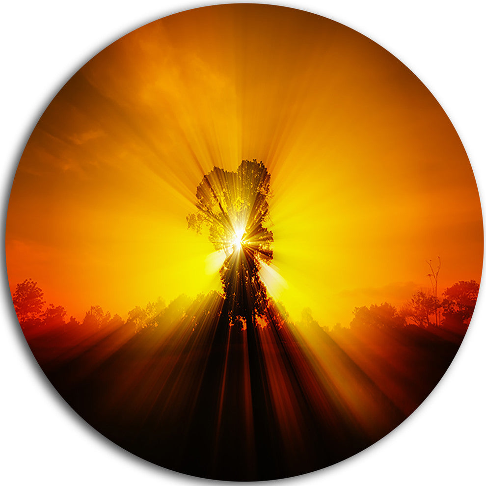 Shadows Of Trees, Landscape Digital Art Disc Metal Wall Art, 23"