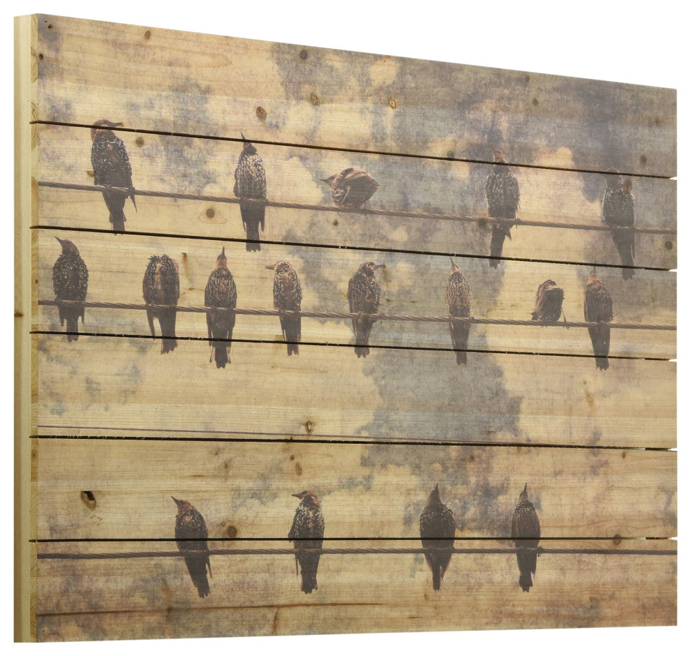 Wired Birds Digital Print on Solid Wood Wall Art