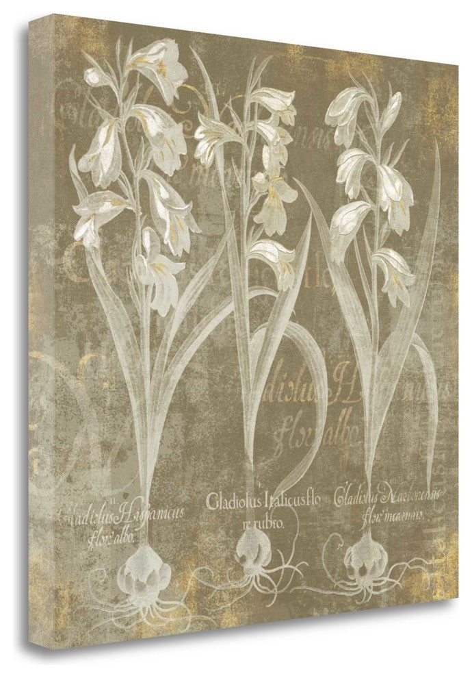 "Flower Lines I" By Sue Schlabach, Giclee Print on Gallery Wrap Canvas