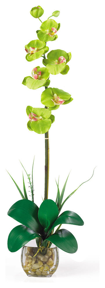 Single Phalaenopsis Liquid Illusion Silk Flower Arrangement, Green