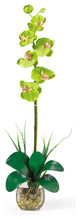 Single Phalaenopsis Liquid Illusion Silk Flower Arrangement, Green