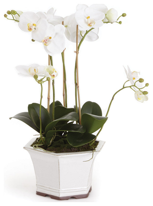 Barclay Butera White Orchid in Ceramic Pot, Pot: 9.5x9.5x5