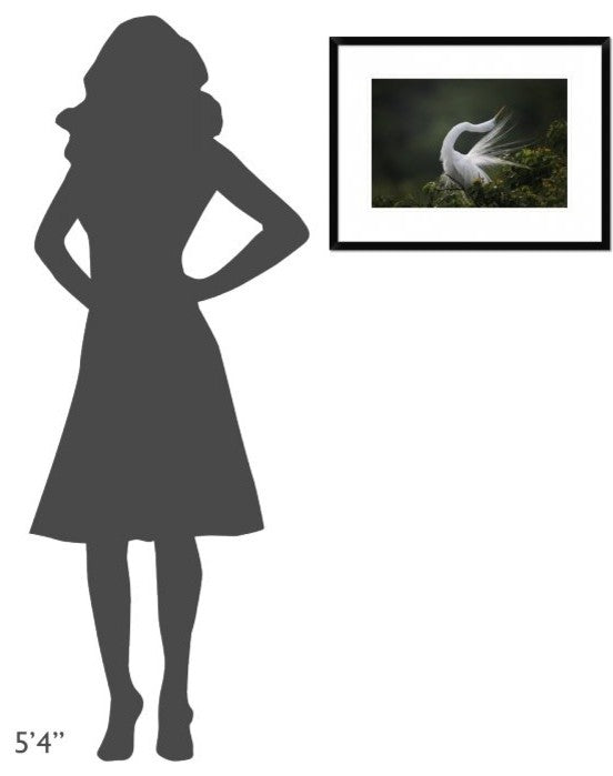 "The Moment You Will Never Forget!" Framed Print by David H Yang, 26"x20"