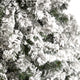10' Flocked West Virginia Fir Faux Xmas Tree W/ 800 Clear LED Lights & 1680 Tips