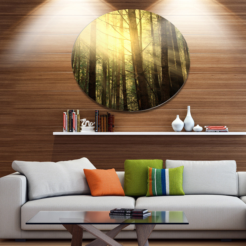 Dense Green Sunny Forest, Landscape Round Metal Wall Art, 11"