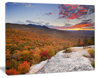 Endless Forests in Fall Foliage, Landscape Canvas Art Print, 20"x12"