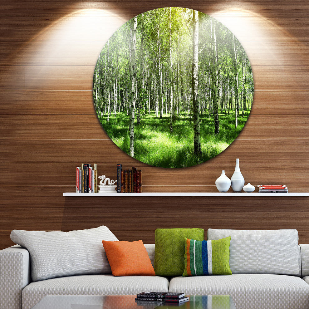 Beautiful Birch Grove, Landscape Round Metal Wall Art, 11"