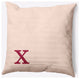 20" x 20" Modern Monogram Indoor/Outdoor Polyester Throw Pillow, Cranberry