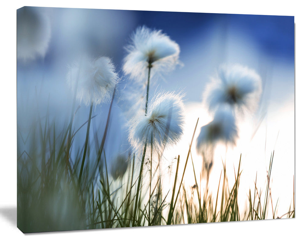 Beautiful Polar White Flowers, Floral Canvas Art Print, 60"x28"
