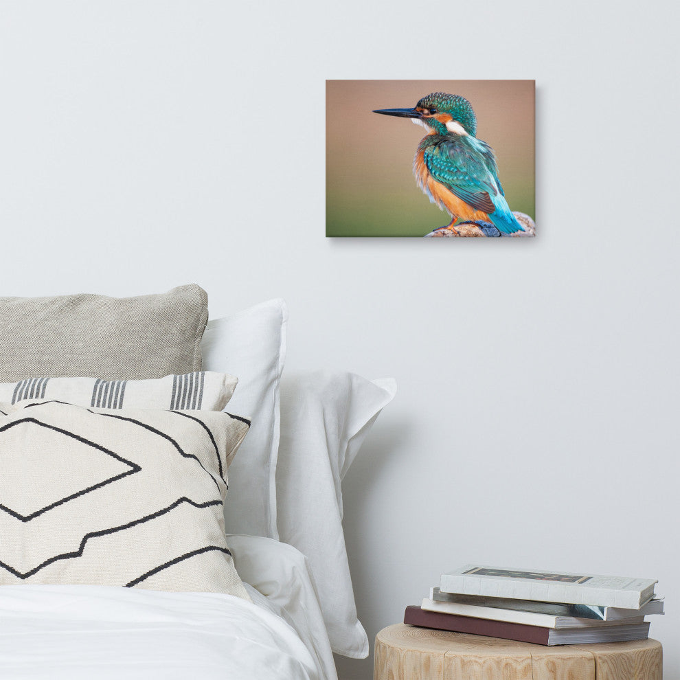 Common Kingfisher Bird on Perch Animal Wildlife Photograph Canvas Wall Art Print, 12" X 16"