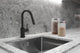 Motegi Single Handle Pull-Down Kitchen Faucet, Matte Black