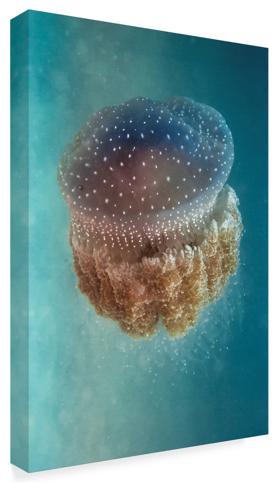 Yaron Halevy 'Jellyfish Phylorhiza' Canvas Art, 47"x30"