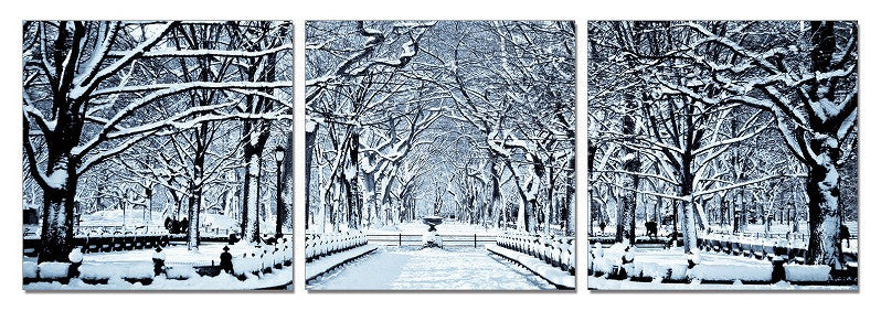 HomeRoots 24" Multicolor Canvas 3 Horizontal Panels Winter Trees Photo