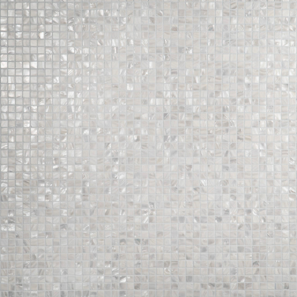 Conchella Square White Natural Shell Wall Tile