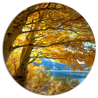 Bright Yellow Autumn Tree, Landscape Round Wall Art, 36"