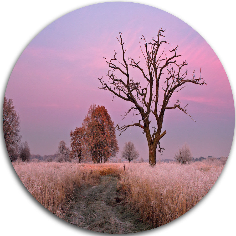 Fairy Autumn Sunrise With Lonely Tree, Landscape Disc Artwork, 11"