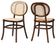 Marcella Mid-Century 2-Piece Dining Chairs, Walnut Brown