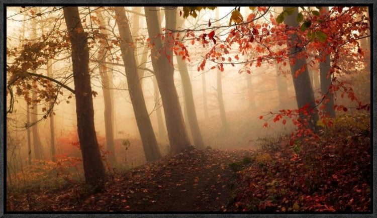 "Towards The Light." Framed Canvas Giclee by Leif Londal, 23x13"
